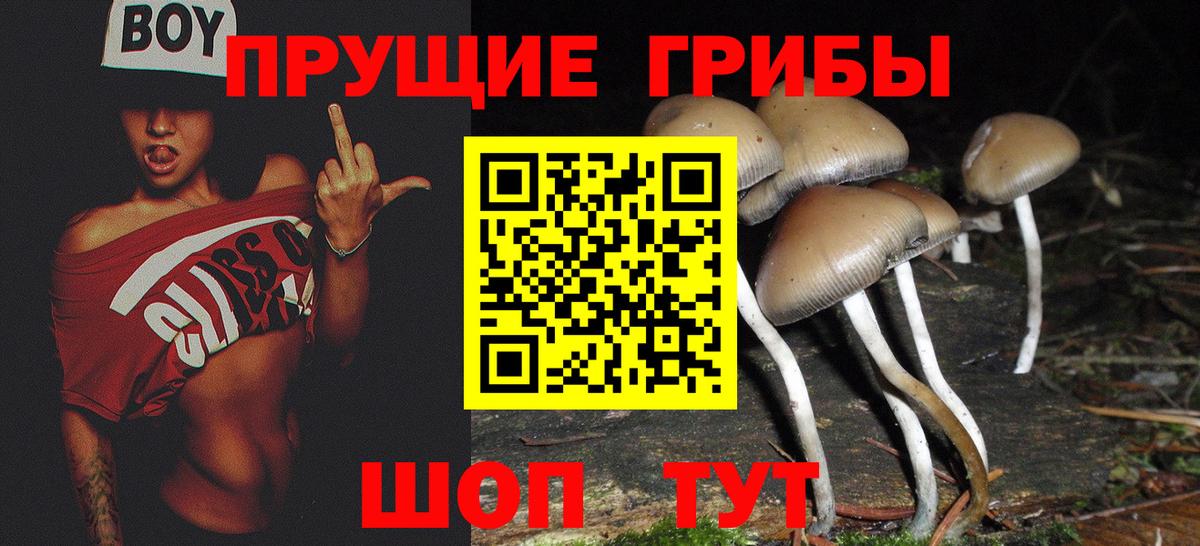 Псилоцибиновые грибы Psilocybine cubensis  Вход с VPN  Нефтеюганск 